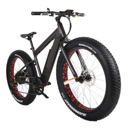 Fat-bike