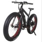 Fat-bike